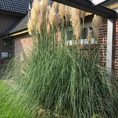 An Der Au * Lemkendorf